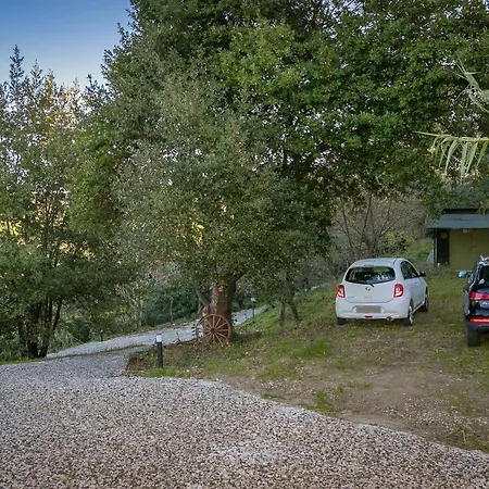 Casa Carolina *